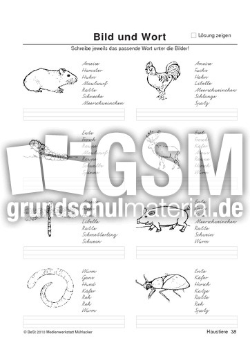 BuW Haustiere38.pdf